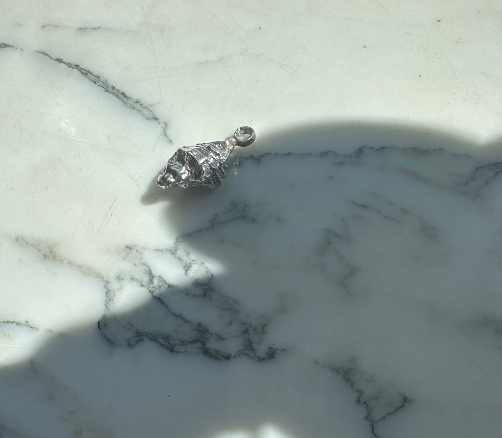 The seashell charm